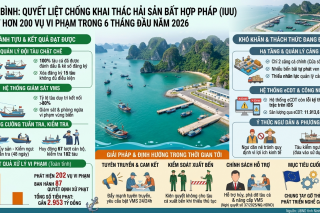 Ninh Bình: Quyết liệt chống khai thác hải sản bất hợp pháp, xử lý hơn 200 vụ vi phạm trong 6 tháng đầu năm