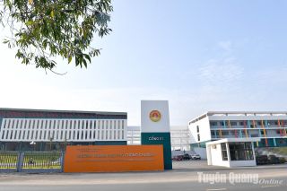 Bộ Giáo dục và Đào tạo lên tiếng về việc thí sinh tại điểm thi Tuyên Quang vẫn được đăng ký xét tuyển đại học