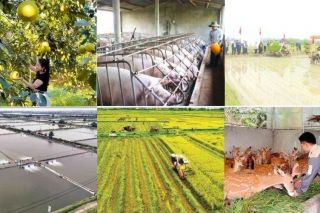 Hà Tĩnh được bổ sung gần 165 tỷ đồng thực hiện Chương trình mục tiêu quốc gia