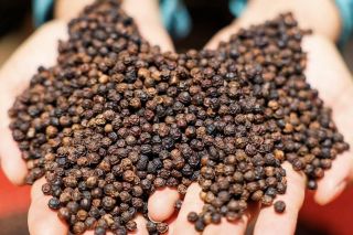 Giá tiêu hôm nay 25/7: Đồng loạt tăng, cao nhất 141.000 đồng/kg