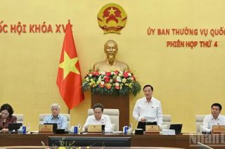Tạo lập khuôn khổ pháp lý ổn định, đột phá và khả thi thúc đẩy phát triển Thành phố Hồ Chí Minh và các đô thị đặc biệt