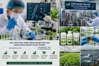Công nghiệp sinh học được định vị là động lực tăng trưởng mới của nông nghiệp