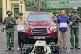 Cao Bằng: Bắt giữ 2 đối tượng vận chuyển trái phép động vật hoang dã