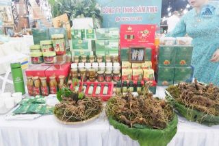 Sâm Ngọc Linh: Quảng bá phải đi cùng bảo vệ thương hiệu