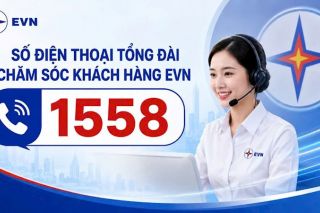 Tổng đài EVN 1558 hỗ trợ khách hàng những dịch vụ gì?