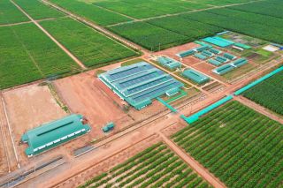 3 Công ty thuộc KLH Koun Mom đạt chứng nhận GLOBALG.A.P. IFA v6 GFS và hoàn thành đánh giá GRASP v2.0