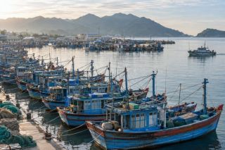 TP.HCM siết quản lý tàu cá không đủ điều kiện, tăng tốc chống khai thác IUU