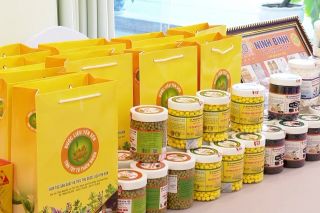 Tuần lễ Nông sản OCOP và Đặc sản Vùng miền năm 2026 tại Hải Phòng dự kiến diễn ra từ ngày 15 đến 20/10
