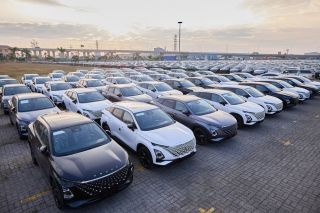 Nhập khẩu ô tô nguyên chiếc trong tháng 8/2026 giảm 30,1%