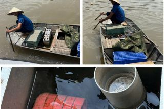 Hải Phòng: Phát hiện, ngăn chặn hành vi sử dụng kích điện khai thác thủy sản