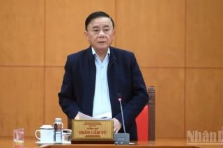 Tăng cường sự lãnh đạo của Đảng đối với công tác người khuyết tật trong tình hình mới