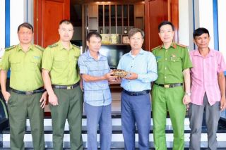 Hà Tĩnh: Người dân tự nguyện giao nộp cá thể rùa núi vàng quý hiếm
