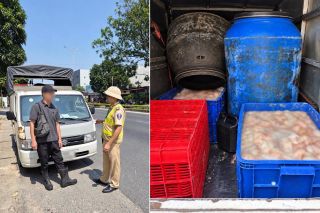 Phú Thọ: Phát hiện xe tải chở 820kg lòng lợn bốc mùi hôi thối không rõ nguồn gốc