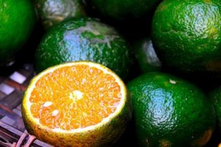 Từ múi cam mọng nước đến những lợi ích thiết thực cho cơ thể
