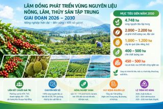 Lâm Đồng dành 728 tỷ đồng phát triển vùng nguyên liệu nông sản