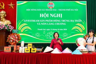 Hà Nội: Nón làng Chuông mở rộng thị trường nhờ đổi mới mẫu mã và kinh doanh trực tuyến