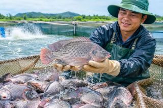 Brazil mở cửa, thủy sản Việt Nam tăng tốc tại Mỹ Latinh