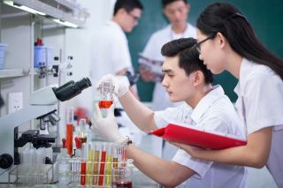 Chương trình hành động của Chính phủ về thu hút và trọng dụng nhân tài trong các ngành, lĩnh vực mũi nhọn