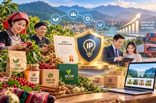 Lào Cai thúc đẩy thương mại hóa tài sản trí tuệ, nâng giá trị thương hiệu địa phương