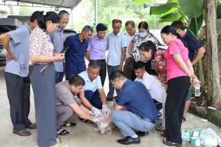 Lạng Sơn tăng cường phòng, chống dịch bệnh động vật những tháng cuối năm 2026