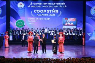 Gạo Rạch Lọp Tiểu Cần: Nâng tầm hạt gạo Việt từ sức mạnh kinh tế tập thể