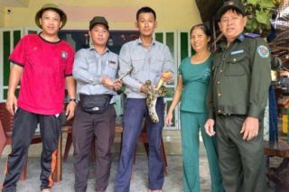 Cù Lao Chàm: Người dân góp sức bảo vệ hai cá thể động vật quý hiếm