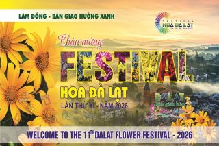 Festival Hoa Đà Lạt 2026: Khi sắc hoa hòa cùng thanh âm cao nguyên