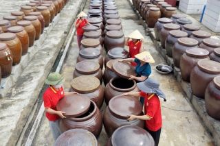 Nước mắm Phú Khương: Tinh hoa biển cả, khẳng định giá trị kinh tế tập thể