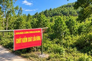 Bắc Ninh: 69, xã, phường cảnh báo nguy cơ cháy rừng cấp cực kỳ nguy hiểm