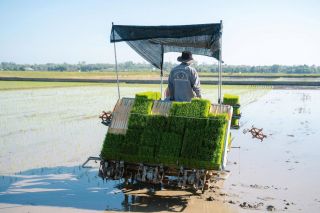 Quảng Trị: Hơn 417 cơ sở ứng dụng công nghệ cao trong sản xuất nông nghiệp