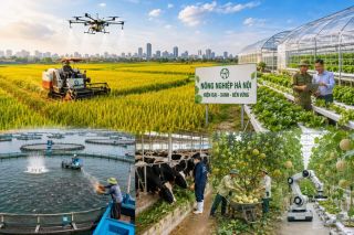 Nông nghiệp số: Công nghệ chỉ phát huy giá trị khi thị trường đón nhận