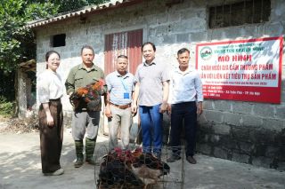 Hà Nội: Liên kết tiêu thụ tạo hướng phát triển bền vững cho chăn nuôi gia cầm