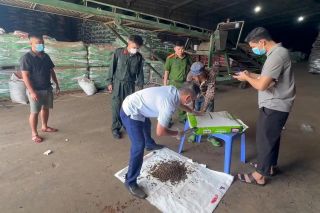 Ngăn chặn phân bón giả: Cần kiểm soát từ khâu sản xuất, đóng gói, lưu thông và phân phối
