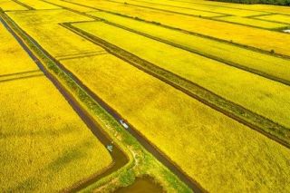 Hợp tác xã Nông nghiệp Vĩnh Cường: Lan tỏa giá trị kinh tế tập thể