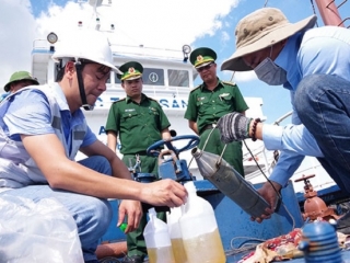 Tăng cường kiểm tra hoạt động nhập khẩu, sản xuất, kinh doanh xăng dầu