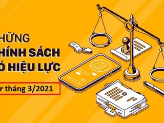 Những chính sách nổi bật có hiệu lực từ tháng 3/2021