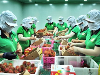 Hiệp định UKVFTA: Tạo động lực mới cho hợp tác kinh tế - thương mại song phương Việt - Anh