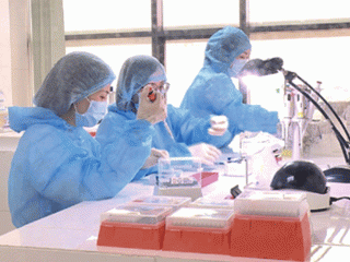 Bắc Ninh: Ghi nhận 11 ca dương tính với SARS-CoV-2