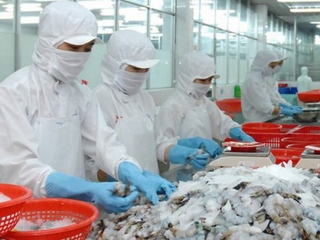 Yếu tố then chốt để ngành thủy sản đáp ứng quy tắc xuất xứ tại Hiệp định EVFTA