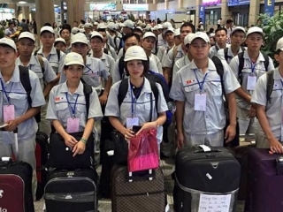 Đề xuất thí điểm gói bảo hiểm Covid-19 cho lao động Việt Nam đi làm tại Hàn Quốc