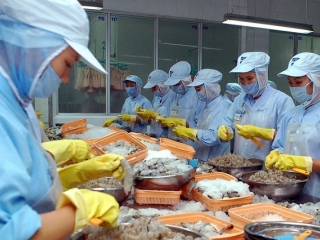 Xuất khẩu tôm dần phục hồi trở lại trong tháng 10