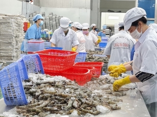 Hàng trăm ngàn lượt doanh nghiệp hưởng lợi từ các hoạt động xúc tiến thương mại