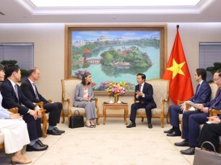 UNDP và USAID hỗ trợ Việt Nam phát triển điện gió, năng lượng tái tạo, lưới điện thông minh...