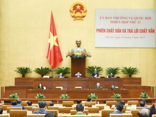 Cần nâng cao chất lượng xét xử; Vẫn còn hiện tượng nể nang, né tránh