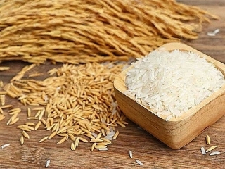 Giá lúa gạo hôm nay ngày 29/3: Biến động trái chiều