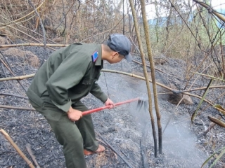 Cháy rừng dưới chân núi Bà Nà, huy động 200 người chữa cháy