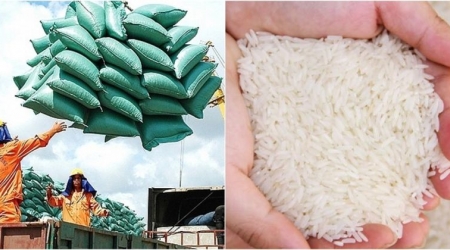 Giá lúa gạo Việt Nam "hạ nhiệt" trong giai đoạn vừa qua là hợp lý