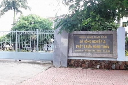 Bài 10- Nghi vấn SP không làm từ cà phê: Cơ quan chức năng... “phớt lờ”?