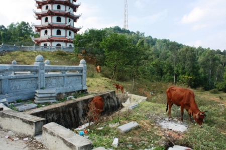 Thanh Hóa: Những hình ảnh không đẹp tại Đền thờ Mẹ Việt Nam Anh hùng?