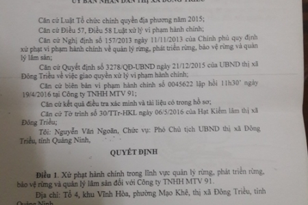 Đông Triều: Phá rừng đặc dụng, báo cáo sai sự thật?